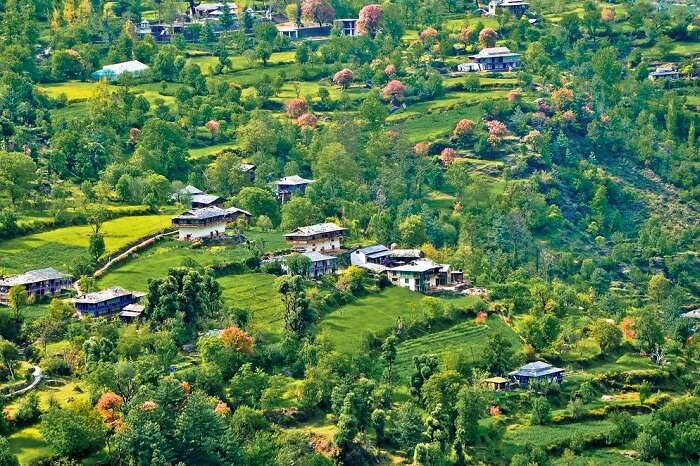 An aerial view of the majestic Banjar Valley near Tirthan