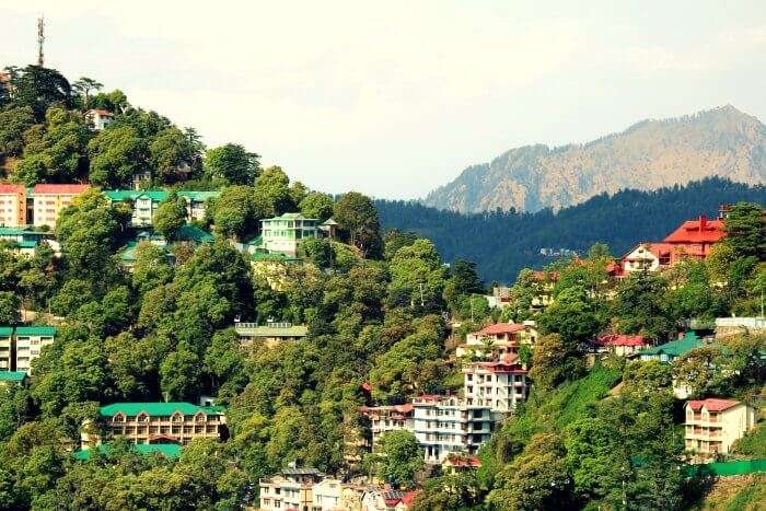 The lush hills of Mashobra near Shimla