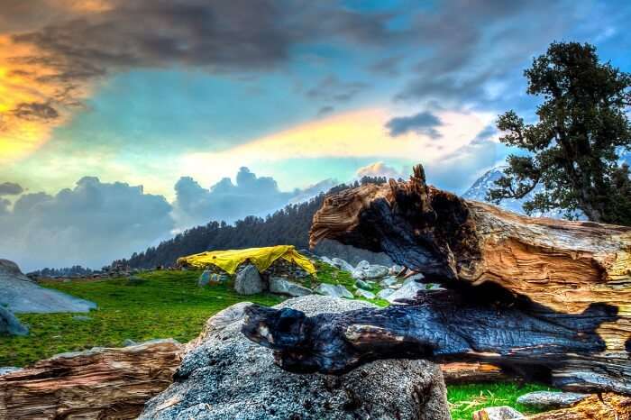 The SnowLine Cafe (Yellow Tent) is the second stop on Mcleodganj to Indrahar trek after Triund