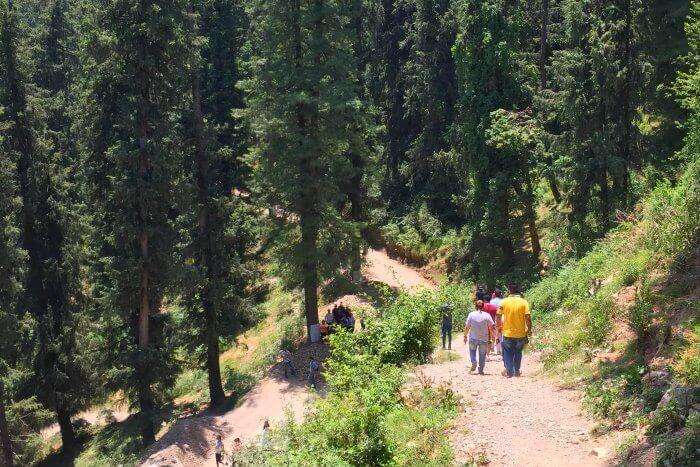 Trekking- one of the best things to do in Mashobra