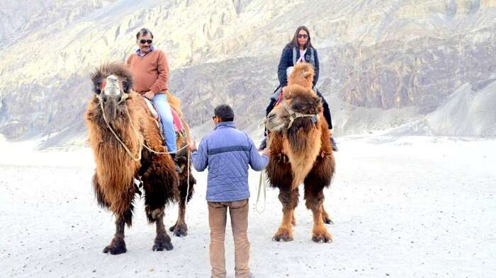 Anuradha and her husband enjoying s Yak ride in Leh