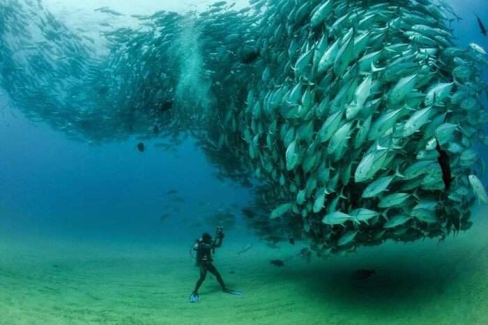 A diver taking pictures underwater in Sihanoukville, Cambodia