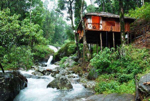 Monsoons are best experienced at the Blue Ginger Resort in Wayanad