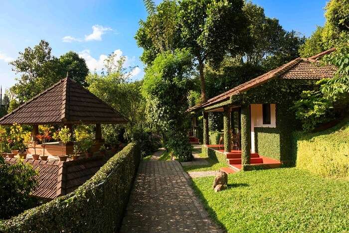 Beautiful alleyway leading to stunning Cardamom County - One of the best premium resorts in Thekkady