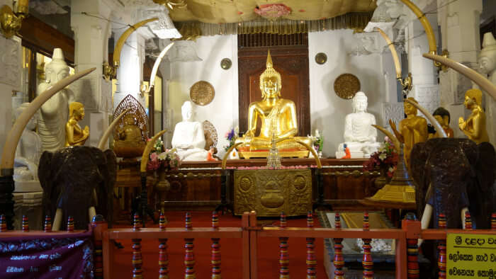Enchanting Tooth Temple in Kandy
