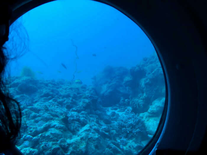 View of the ocean from the submarine in Mauritius