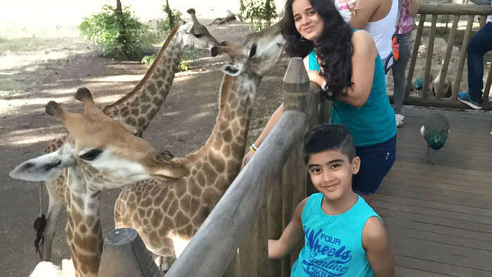 Raj Kumar and his family petting Giraffes at Casela Nature Park