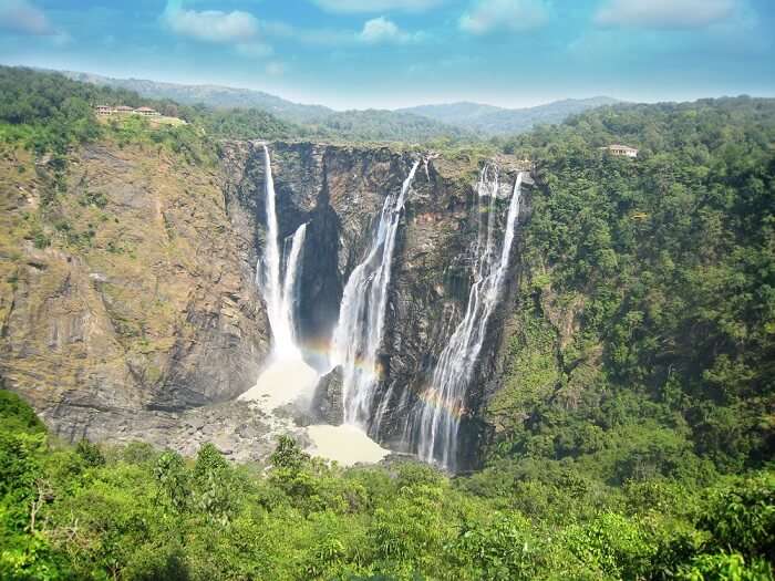 The mesmerizing Jog falls plunging from mountain-top in Karnataka