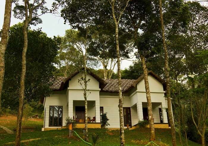 Niraamaya Retreats Cardamom Club is one of the best Ayurveda resorts in Thekkady