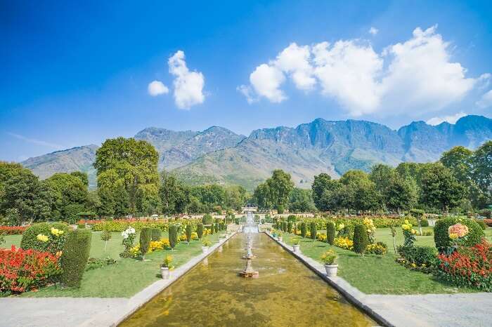 The terraced Mughal Garden of Nishat Bagh in Srinagar