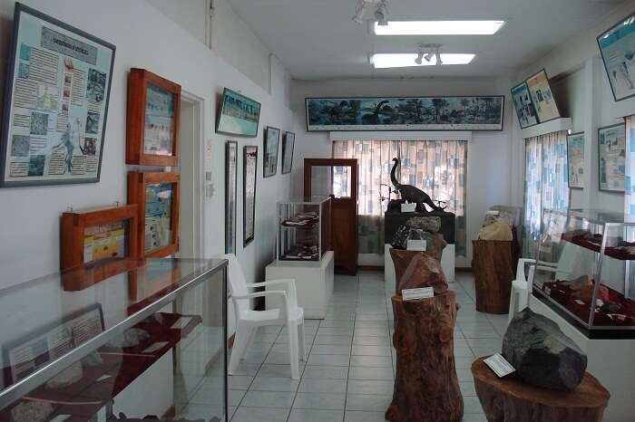 Some of the exhibits at the Seychelles Natural History Museum