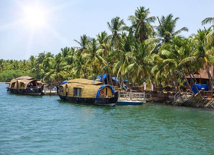 The stunning sceneries surrounding the houseboats in Alleppey 
