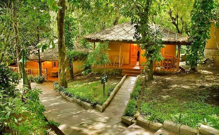 The cottage rooms of Woods N Spice Resort in Thekkady