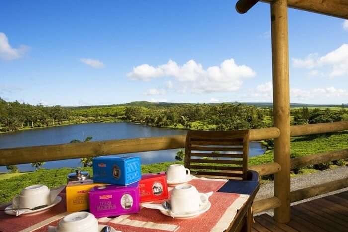 The famous vanilla tea at the Bois Cheri Cafe in Mauritius