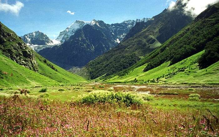 The lush valley of Dekhradun