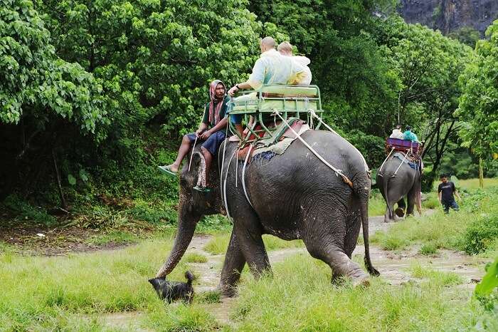 Tourists go on elephants trekking in the rain