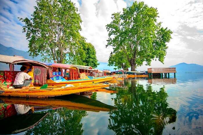 Numerous shikaras ready to take tourists for a ride in Dal Lake