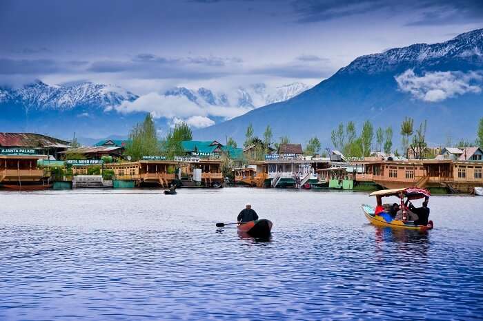 Shikaras in the Dal Lake of Srinagar in Kashmir