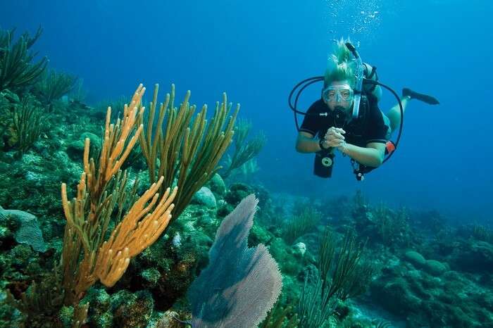 Snorkeling and scuba diving are some adventurous things to do in Pattaya