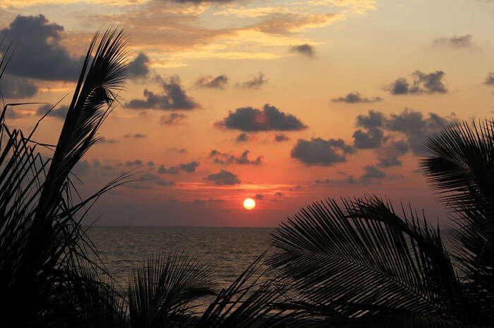 Beautiful sunset in Negombo