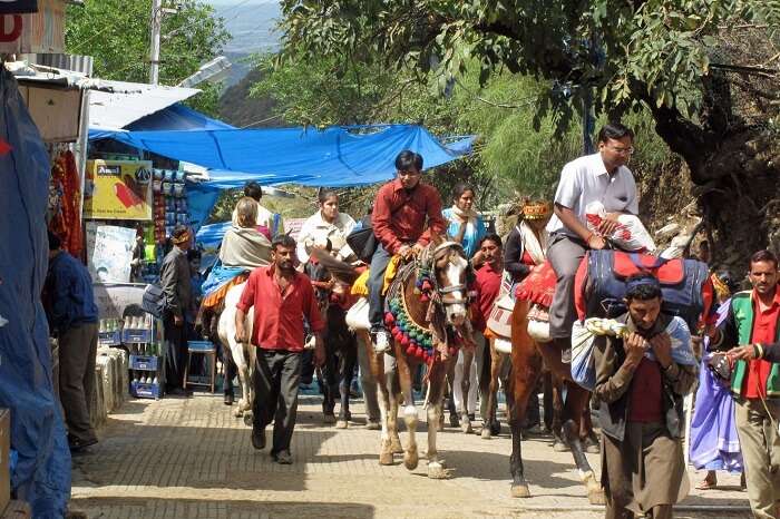 People on pony and on foot making the climb to the Vaishno Devi Shrine