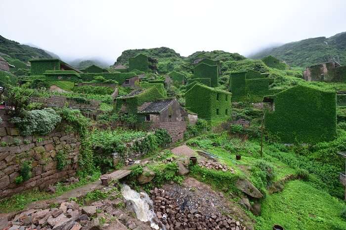 An abandoned Chinese village overgrown with vegetation on the small Chinese island of Gouqi off the coast of Shanghai