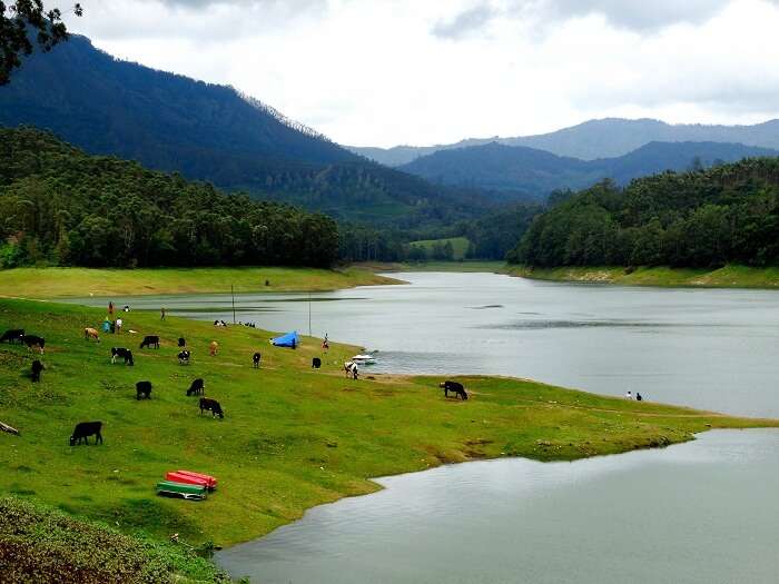 Beautiful landscape of Kerala