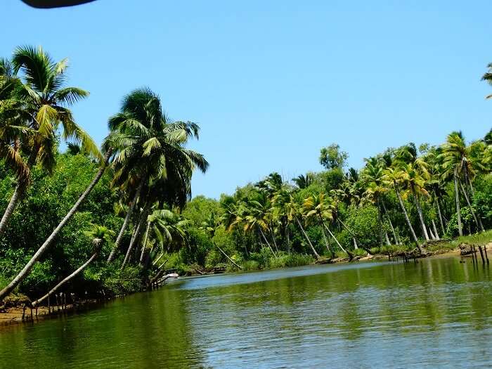 Beautiful safari in Poovar Kerala