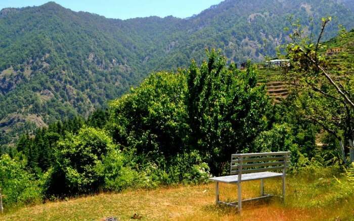 A bench placed to enjoy Dhanaulti view