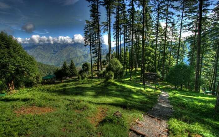 One of the beautiful views in Dhanaulti