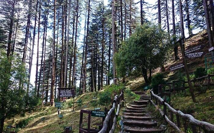 The picturesque Eco Park in Dhanaulti