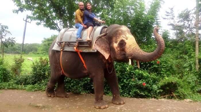 Having a cheerful time in the elephant ride