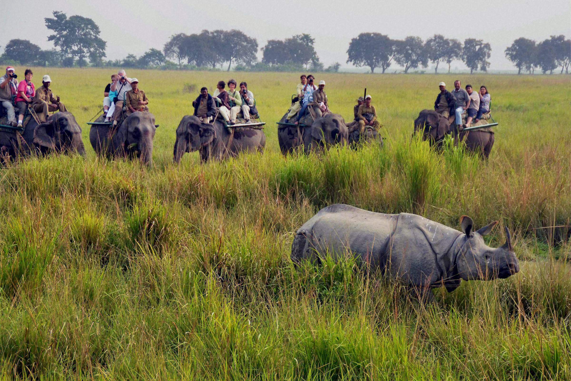 Kaziranga National Park is among the best tourist places in Assam