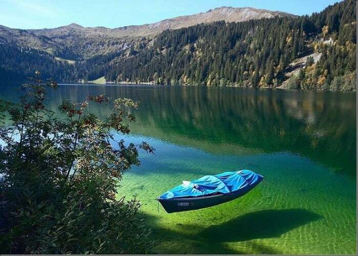 Crystal clear waters of blue lake in New Zealand