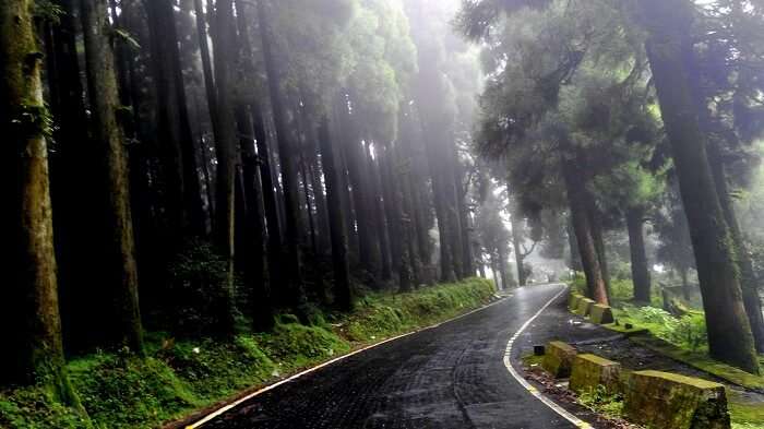 Darjeeling roads