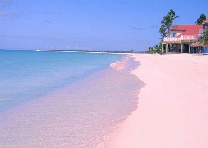 Amazing view of the pink sands