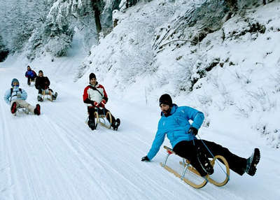 Sledge down the snowy slopes of Manali during snowfall