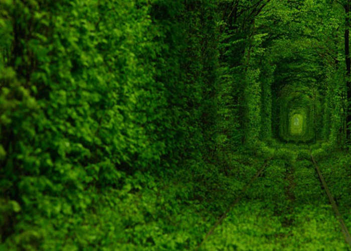 The beautiful view of the Tunnel of love