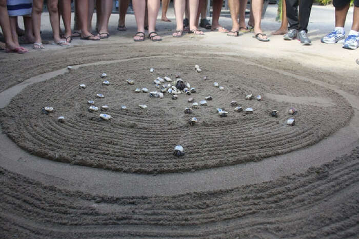 Crab racing is an important tourist attraction in Maldives