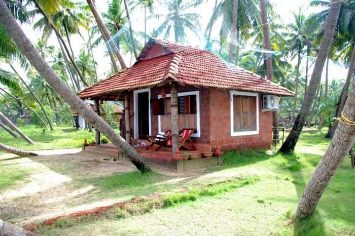 A picturesque cottage of Oyster Opera farmstay surrounded by coconut trees