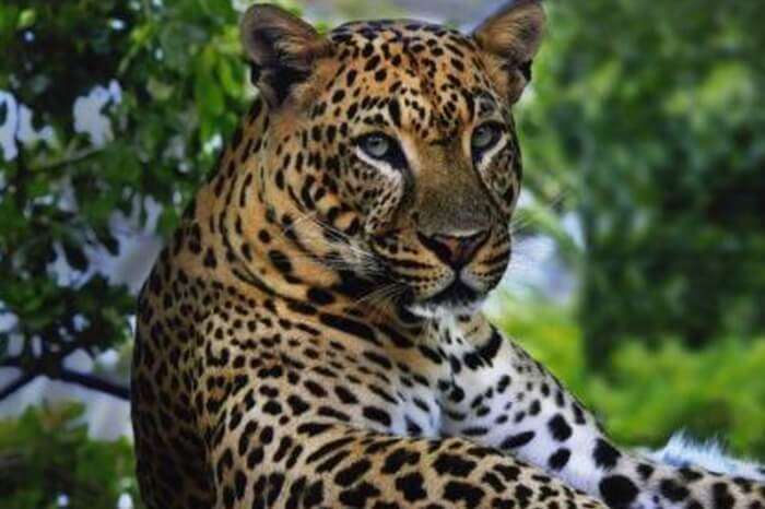 22 Best Wildlife Sanctuaries In Kerala To Visit In 2022!