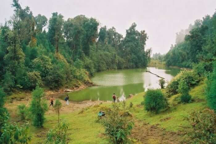 The quaint Neora Valley National Park