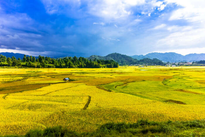 Ziro in Arunachal Pradesh