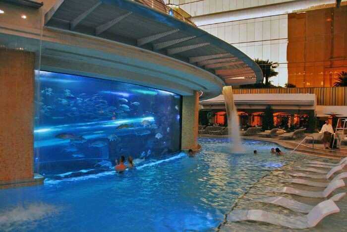 Pool at the Golden Nugget in Las Vegas