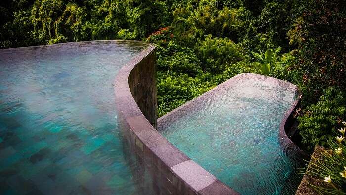 Pool in the background of greenery at Ubud Hanging Gardens Pool Bali