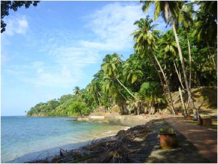 Beautiful beaches of Andaman