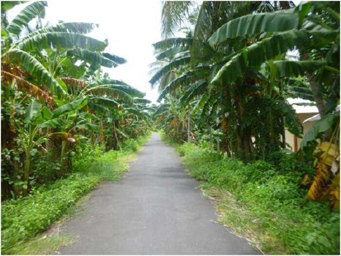 Beautiful Neil Island in Andaman