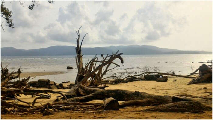 Beautiful beaches of Andaman