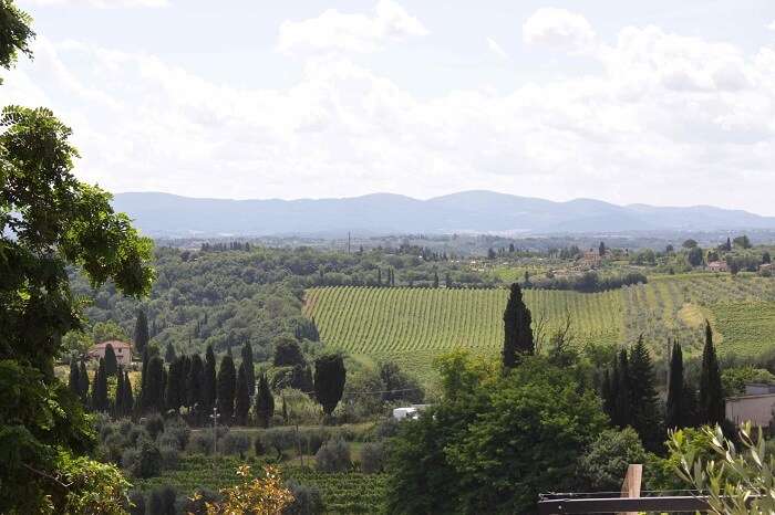 Scenic Landscape of Tuscany