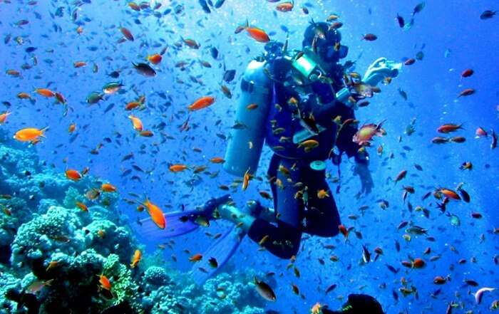 Snorkelling at the Mahatma Gandhi National Park